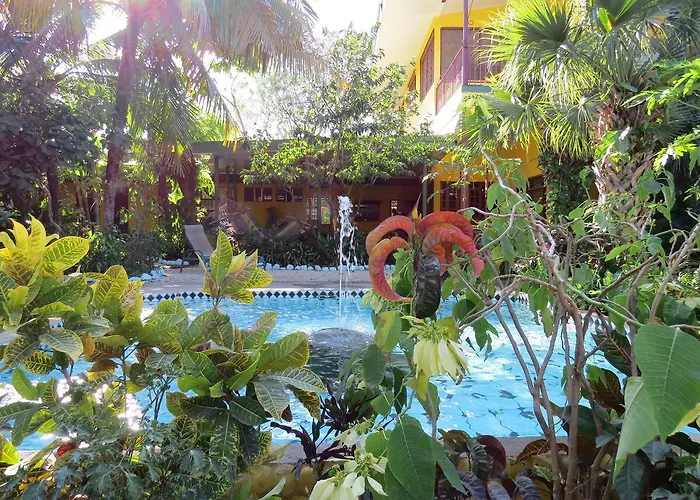 Inn El Mono Loco Hotel