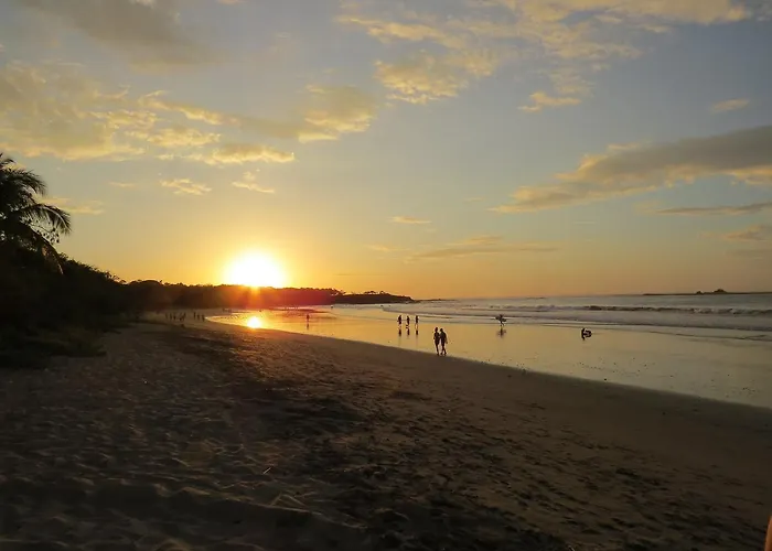 El Mono Loco Hotel Tamarindo