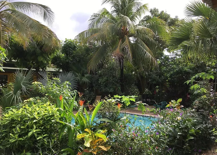 El Mono Loco Hotel Inn Tamarindo