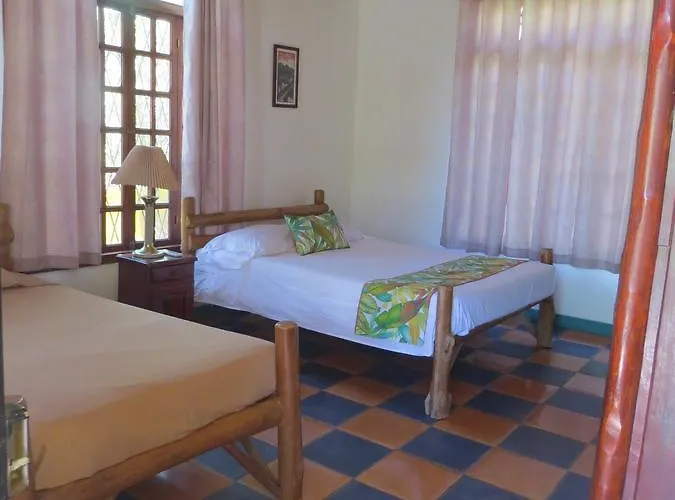 El Mono Loco Hotel