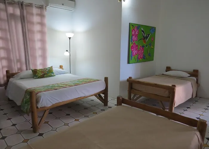 El Mono Loco Hotel 2* Tamarindo