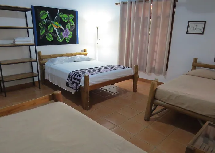 Inn El Mono Loco Hotel 2*