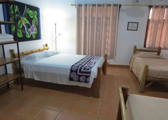 El Mono Loco Hotel 2*