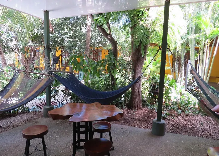 Inn El Mono Loco Hotel Tamarindo