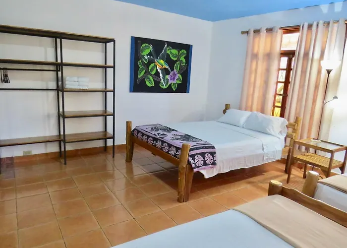 El Mono Loco Hotel 2* Tamarindo