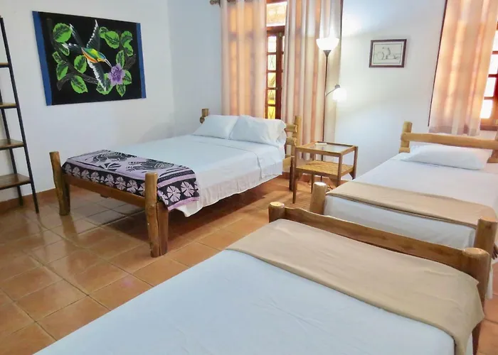 Inn El Mono Loco Hotel Tamarindo